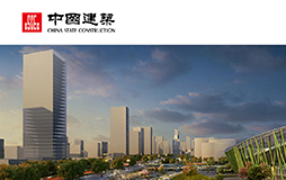 China State Construction_DYXnet_Customer Case_product/solution
